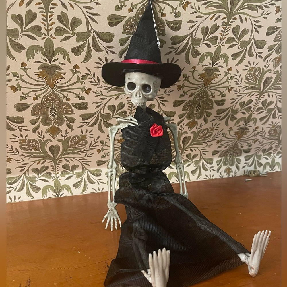 Halloween Skeleton - Picture 2 of 3